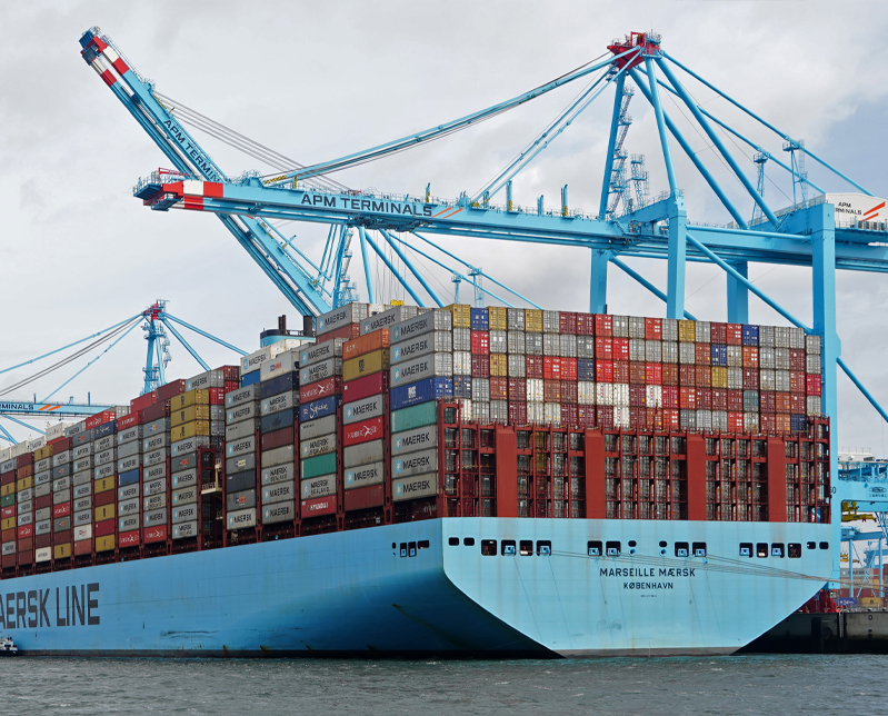 Ocean Freight Container Ship