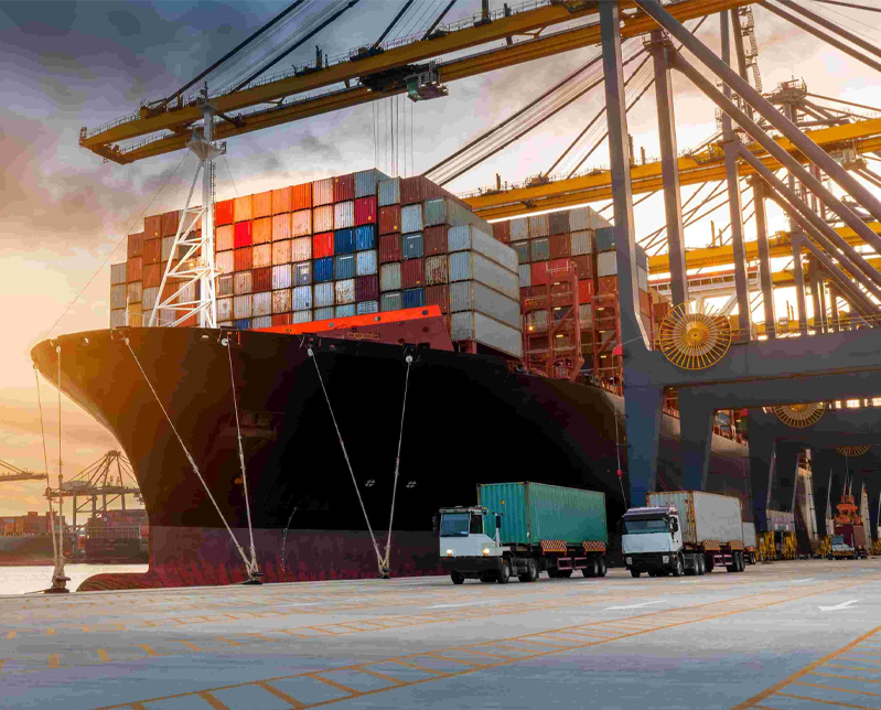 Ocean Freight Tracking